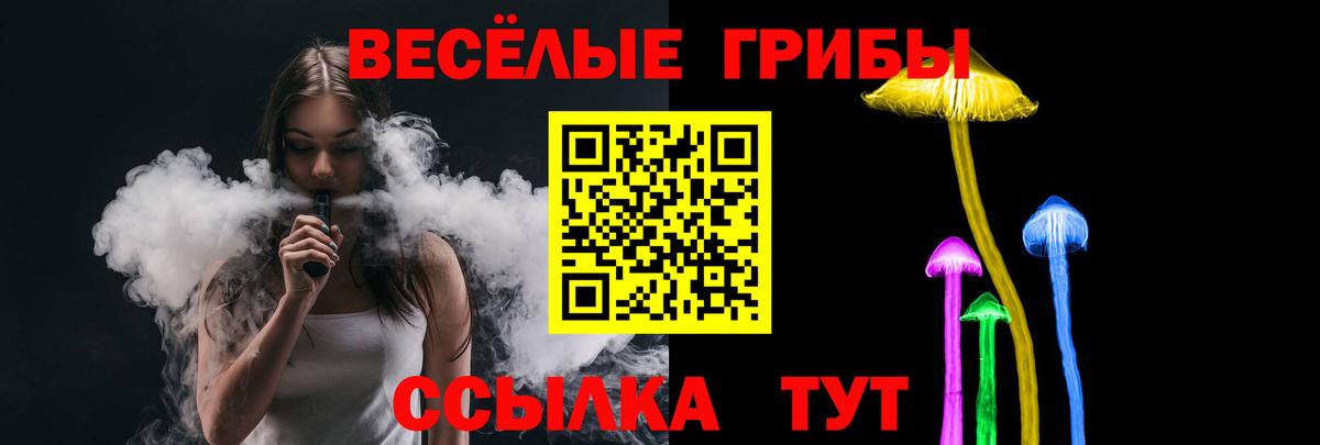 Киржач  Галлюциногенные грибы мицелий  Галлюциногенные грибы Psilocybine cubensis  Вход с VPN 